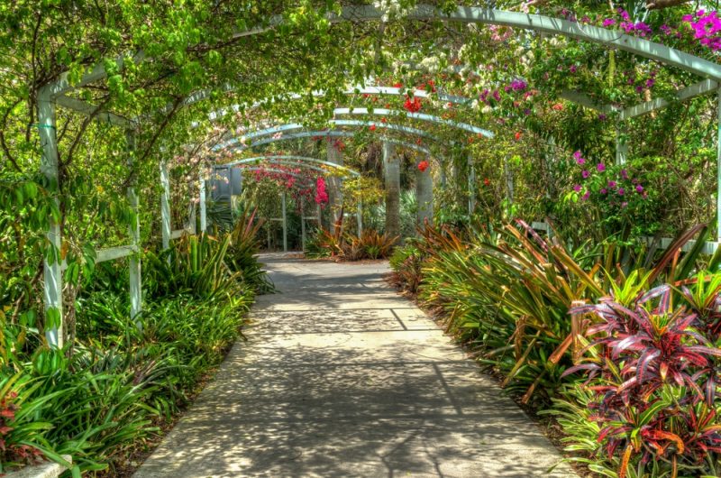 Napoli in fiore: itinerario nei giardini storici e botanici