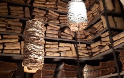 Il Cartastorie: Museo dell’Archivio Storico del Banco di Napoli per grandi e piccini