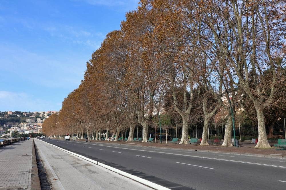 Autunno a Napoli cosa fare